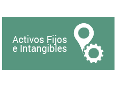 Helisa Activos Fijos e Intangibles