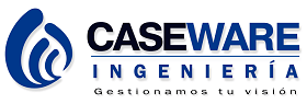 CASEWARE INGENIERIA S.A.S.