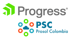 PSC PROSOL COLOMBIA SAS