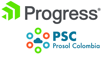 PSC PROSOL COLOMBIA - Servicios de Consultoría e Implementación de Soluciones para la Transformación Digital.