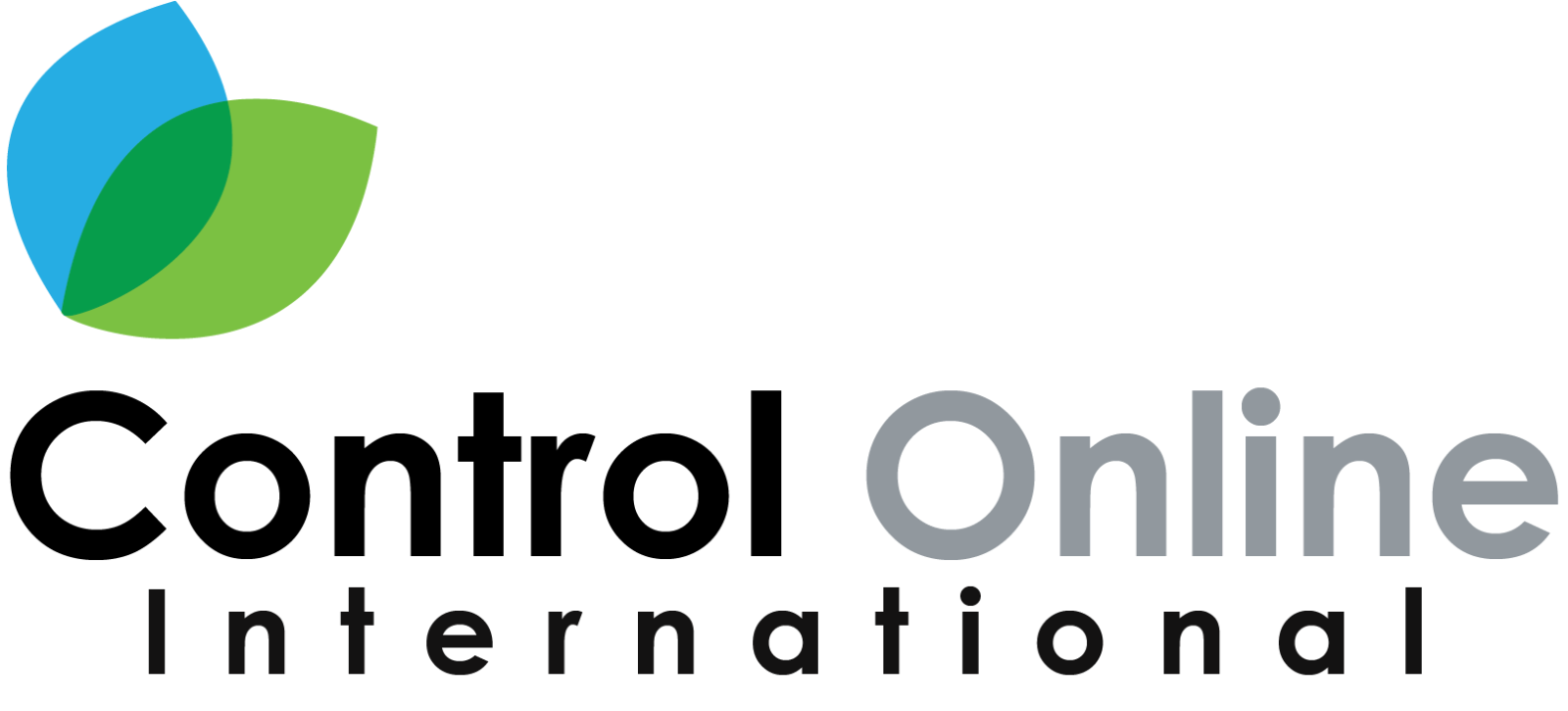 Logo de CONTROL ONLINE SAS