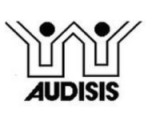 AUDISIS LTDA - Expertos en Auditoría de Sistemas de Información.