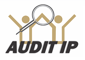 AUDIT IP 