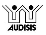 AUDISIS LTDA.